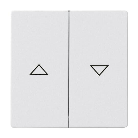 Switch rocker, Impressivo, 2-gang, "up/down" symbol, aluminum | ABB Oy ...