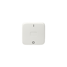 2-pole 1-gang 1-way switch, Jussi, 2 X-terminals, "1/0" symbol