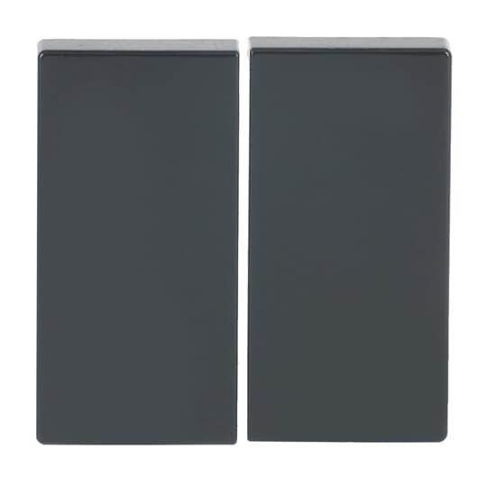 Rocker for Smart switch Two-part rocker anthracite - Platform 63