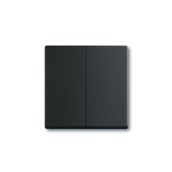 Switch rocker, 2-gang, black matt | ABB Oy, Wiring accessories