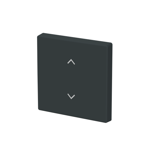 Rocker 1g blinds Symbol "venetian blind" for Smart switch Single rocker anthracite - Platform 63