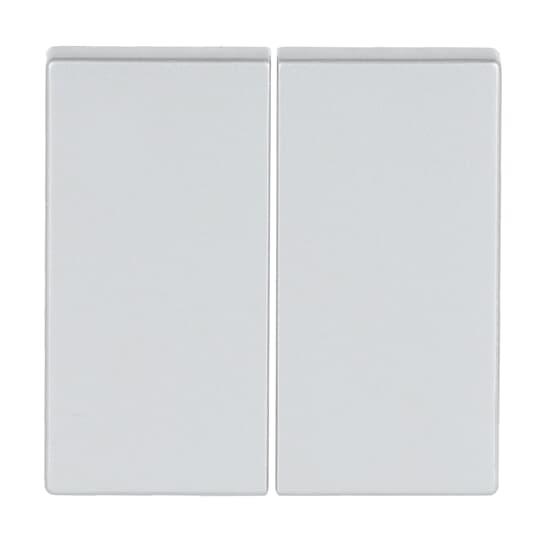 Rocker for Smart switch Two-part rocker aluminium silver - Platform 63