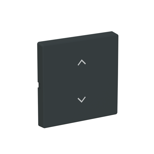 Rocker 1g blinds Symbol "venetian blind" for Smart switch Single rocker anthracite - Platform 63