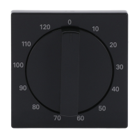 Cover Plate, turning handle