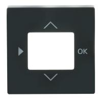 Centre plate