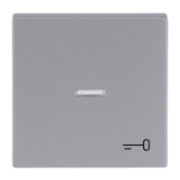 Switch rocker