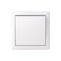 Switch