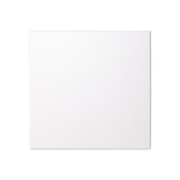 Control element/cover plate