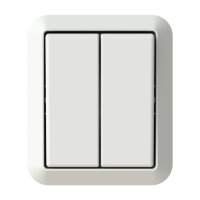 Switch