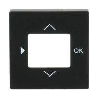 Center plate