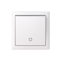Switch
