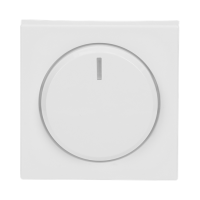 Centre plate