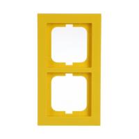 Cover frame