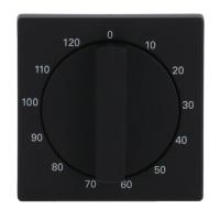 Cover Plate, turning handle