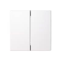 Switch