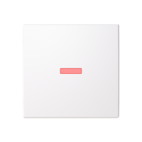 Control element/cover plate