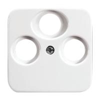 Center plate
