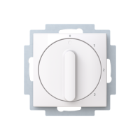 Control element/cover plate
