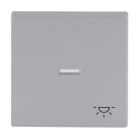 Switch rocker