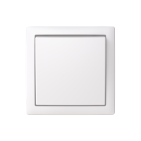 Switch