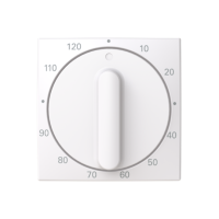 Control element/cover plate