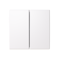 Control element/cover plate
