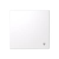 Control element/cover plate