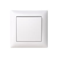 Switch