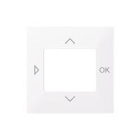 Center plate
