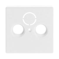 Center plate