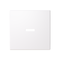 Control element/cover plate