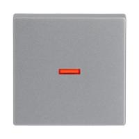 Switch rocker