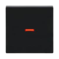 Switch rocker